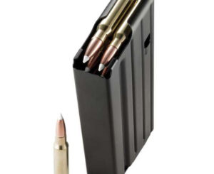 AR 10 mag