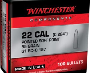Winchester PSP .22 Cal (224) 55gr (100)
