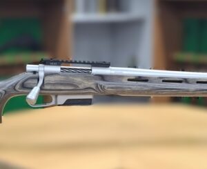 Howa 1500 (.308 Win)